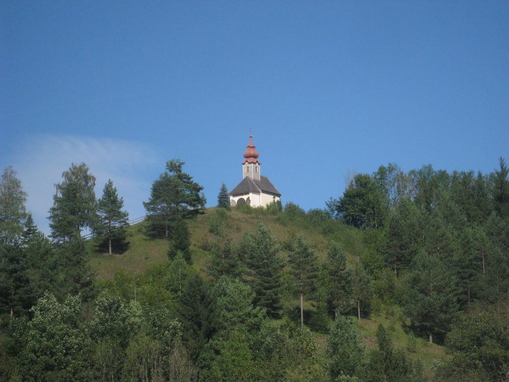 Gasthof Zum Niederhaus - Familie Perthold Sankt Aegyd am Neuwalde Extérieur photo