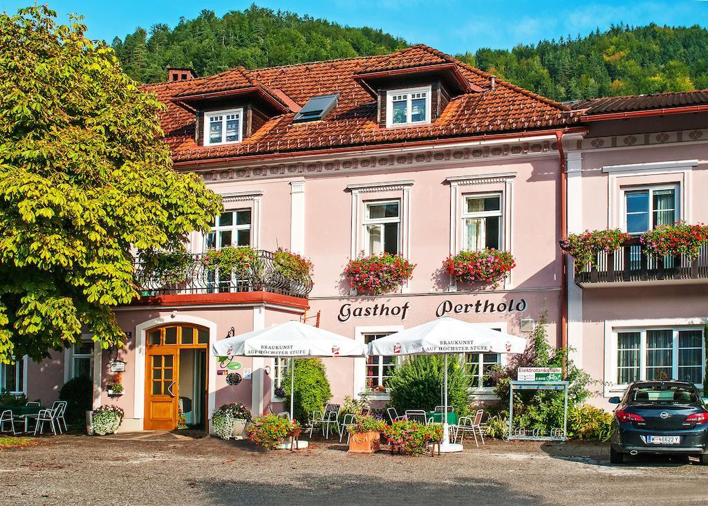 Gasthof Zum Niederhaus - Familie Perthold Sankt Aegyd am Neuwalde Extérieur photo