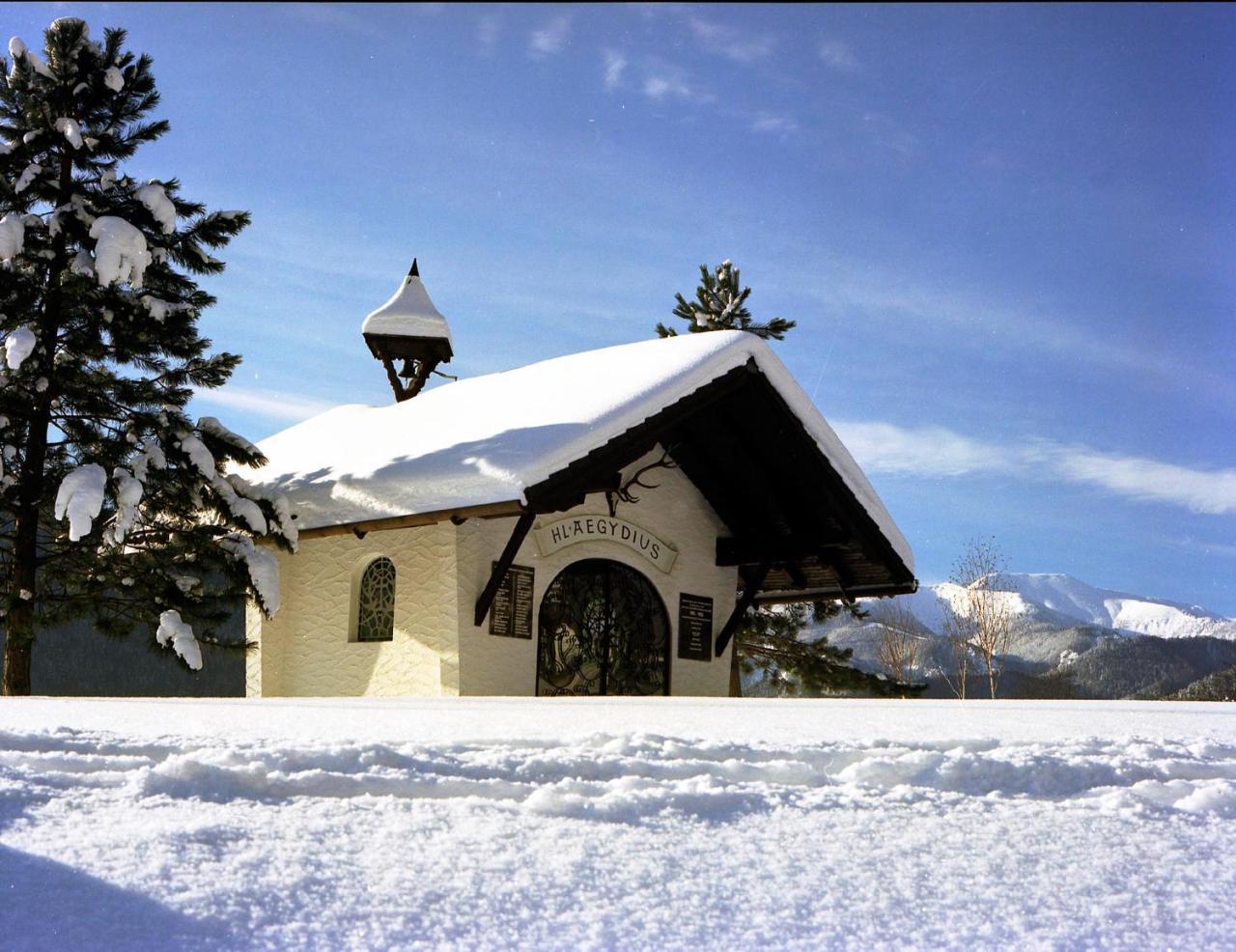 Gasthof Zum Niederhaus - Familie Perthold Sankt Aegyd am Neuwalde Extérieur photo